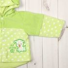 Комплект детский (полукомбинезон, куртка), рост 68 см, цвет зелёный 1353_М - Фото 4