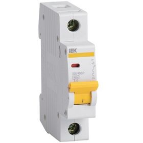 Выключатель автоматический IEK, однополюсный, C 100 А, ВА 47-100, 10кА, MVA40-1-100-C
