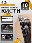Набор кистей для рисования, щетина, 10 штук: № 4, 6, 7, 8, 9, 10, 14, 15, 18, 20, Roubloff, овальные, деревянная ручка - Фото 1