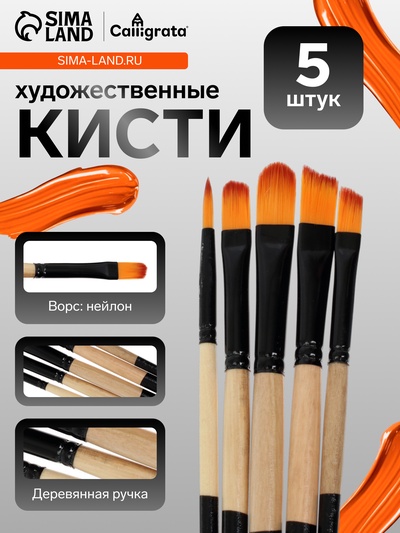 Набор кистей для рисования, нейлон, 5 штук: круглая, плоские, международный размер