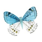 Магнит бабочка перо "Южный ветерок" 8 см МИКС - Фото 1
