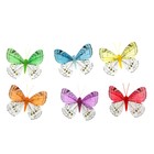 Магнит бабочка перо "Южный ветерок" 8 см МИКС - Фото 2