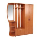 Прихожая универсальный Алла 5 Вишня - Фото 1