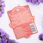 Булавка-оберег «От злого умысла» - Фото 2