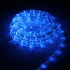 Световой шнур Luazon Lighting 10 мм, IP65, 5 м, 24 LED/м, 220 В, 8 режимов, свечение синее - Фото 1