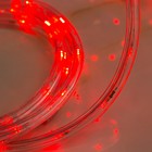 Световой шнур Luazon Lighting 10 мм, IP65, 5 м, 24 LED/м, 220 В, 8 режимов, свечение красное - Фото 3