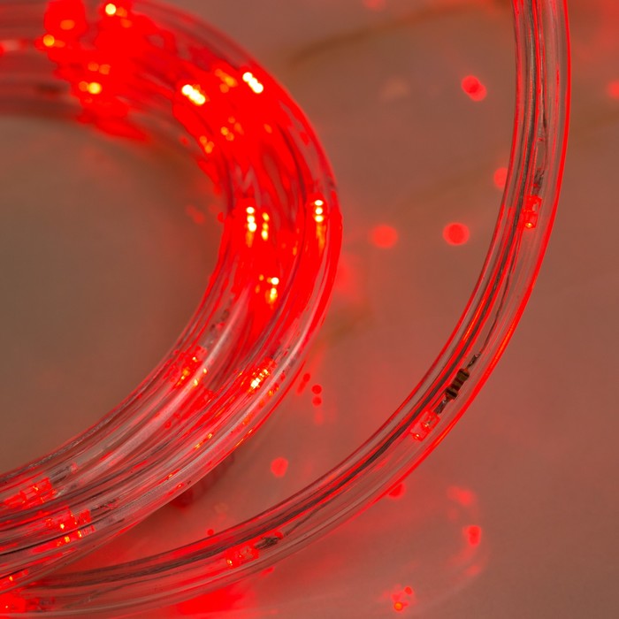 Световой шнур Luazon Lighting 10 мм, IP65, 5 м, 24 LED/м, 220 В, 8 режимов, свечение красное - фото 1883273107