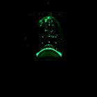 Ночник СТАРТ  NL 1LED "Василек" - Фото 2