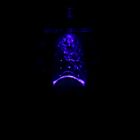 Ночник СТАРТ  NL 1LED "Василек" - Фото 3