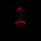 Ночник СТАРТ  NL 1LED "Василек" - Фото 6
