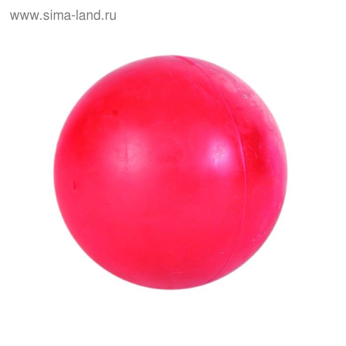 Мячи резиновые Trixie, d=60 мм - Фото 1