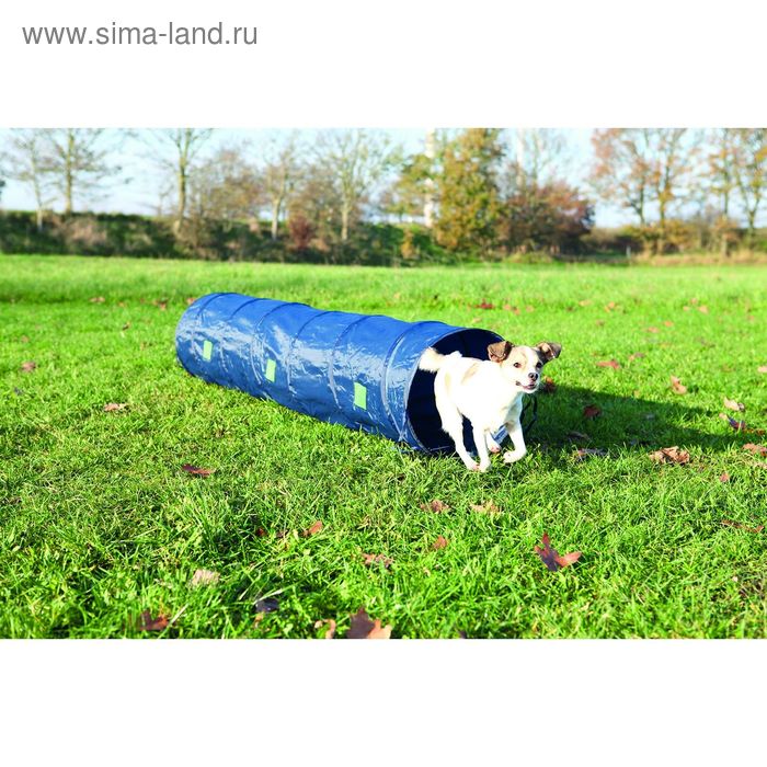Тоннель Trixie для собаки, ф 40см/2.00м, нейлон - Фото 1