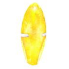 Набор! Панцирь каракатицы Trixie ванильный, шоколадный, лимонный, маленькие, 24 шт - Фото 1