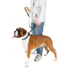 Поводок Ferplast  Sport Dog Matic, 120 х 2,5 см, желтый - Фото 2