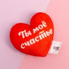 Магнит «Ты мое счастье», сердце - Фото 2