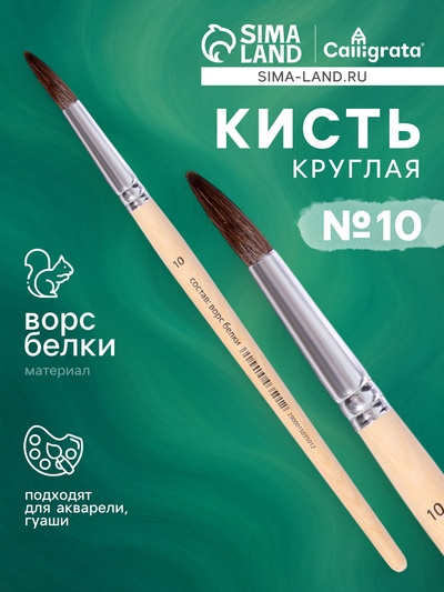 Кисть для рисования, белка, № 10, круглая, деревянная ручка, международный размер