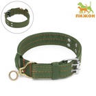 Ошейник четырехслойный с вертлюгом, 65×4 см, ОШ 54-60 см, полиэстер, зелёный - Фото 2