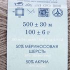 Пряжа "Кроссбред Бразилии" 50%меринос.шерсть, 50% акрил 500м/100гр (276-Перламутр) - Фото 3