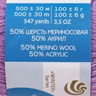 Пряжа для вязания спицами, крючком «Пехорский текстиль. Кроссбред Бразилии», 50% мериносовая шерсть, 50% акрил, 500 м/100 г, (389 св. фиалка) - Фото 4