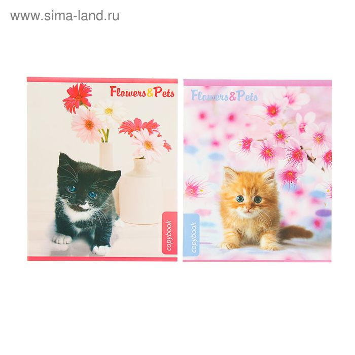 Тетрадь 12 листов клетка Flowers & Pets, картонная обложка, МИКС - Фото 1