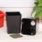 Набор для рассады: стаканы по 400 мл (10 шт.), поддон 45 × 19 см, МИКС - Фото 3