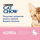 Сухой корм CAT CHOW KITTEN для котят, птица, 1.5 кг - Фото 3