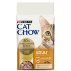 Сухой корм CAT CHOW для кошек, птица, 1.5 кг - Фото 1