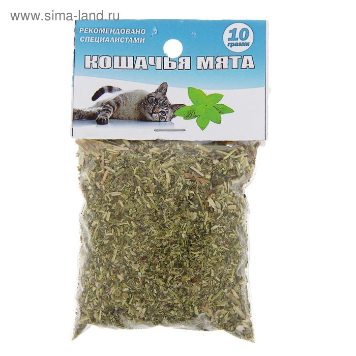 Кошачья мята, 10 г - Фото 1