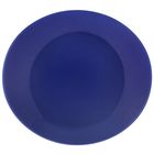Блюдо круглое d=28 см, цвет синий - Фото 1