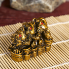Нэцкэ бронза "Жабы паровозиком" 5 х 4 х 6,5 см - Фото 4