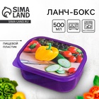 Ланч - бокс прямоугольный «Овощи», 500 мл - Фото 1