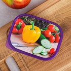 Ланч - бокс прямоугольный «Овощи», 500 мл - Фото 3