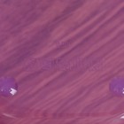 Ланч - бокс прямоугольный «Овощи», 500 мл - Фото 4