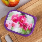 Ланч - бокс прямоугольный «Орхидеи», 500 мл - Фото 3