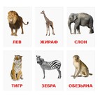 Обучающие карточки по методике Г. Домана «Животные жарких стран», 12 карт, А6 - Фото 5