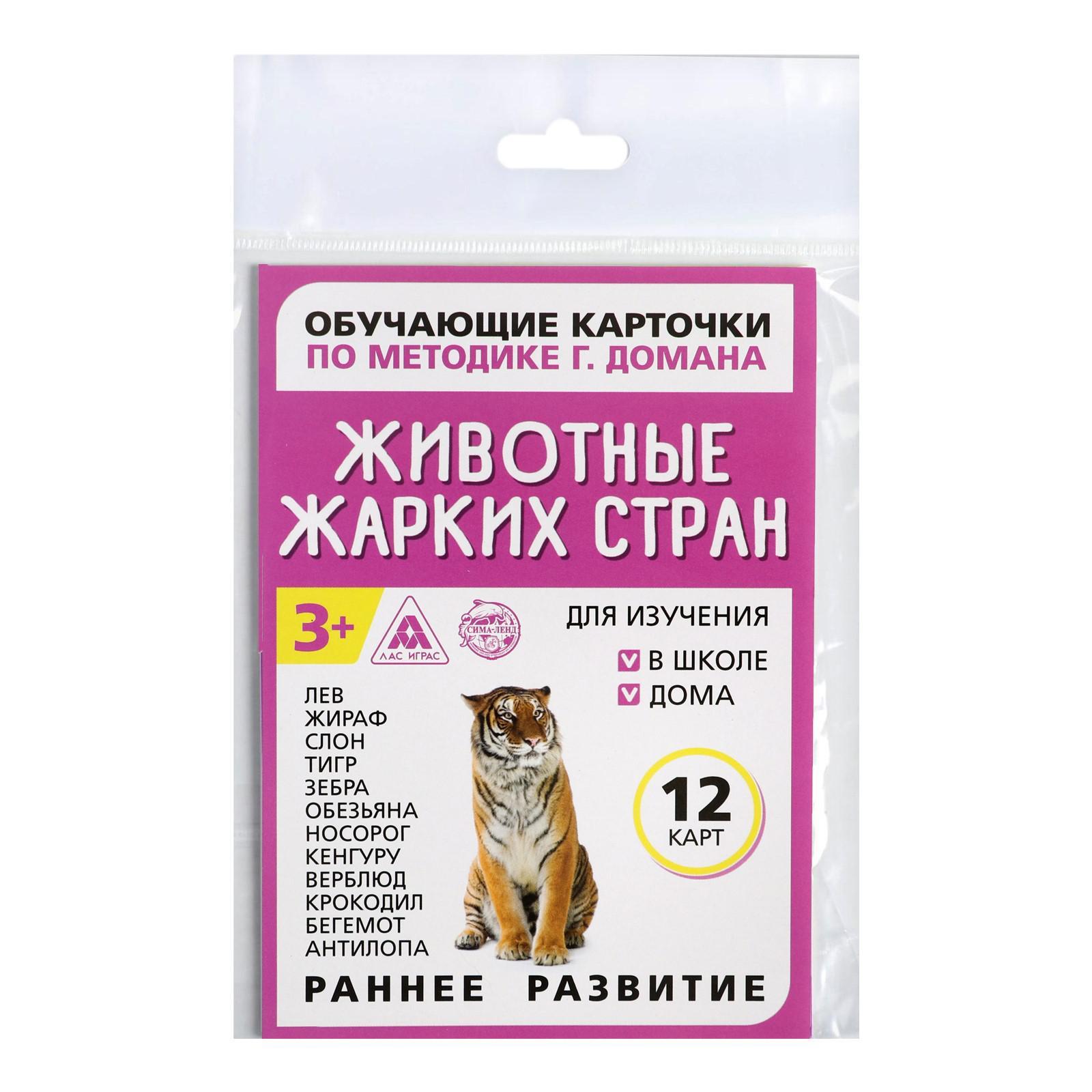 Обучающие карточки по методике Г. Домана «Животные жарких стран», 12 карт,  А6 (1716779) - Купить по цене от 26.40 руб. | Интернет магазин SIMA-LAND.RU