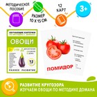 Обучающие карточки по методике Г. Домана «Овощи» - Фото 1