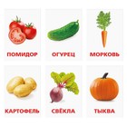 Обучающие карточки по методике Г. Домана «Овощи» - Фото 2