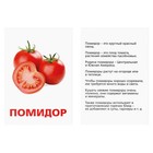 Обучающие карточки по методике Г. Домана «Овощи» - Фото 3
