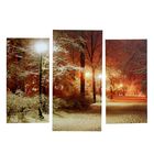 Картина модульная на подрамнике "Зима" 2шт-25х50, 1шт-30х60 ;60*80 см - фото 3637021