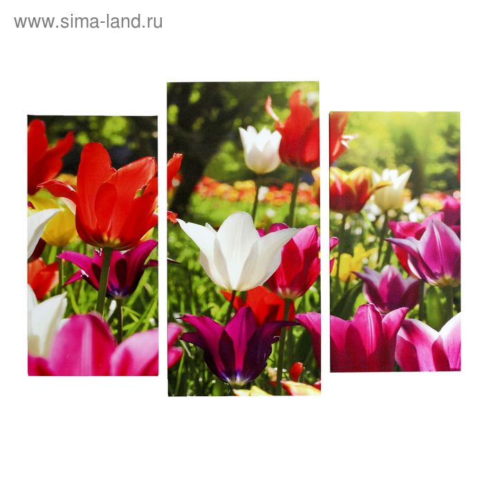 Картина модульная на подрамнике "Солнечные тюльпаны" 2шт-25х50, 1шт-30х60 ;60*80 см - Фото 1