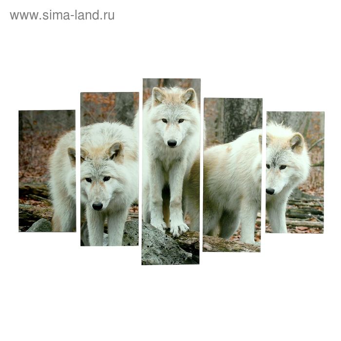 Картина модульная на подрамнике "Белые волки" 2шт-25х52; 2шт-25х67; 1шт-25х80см  80*125 см - Фото 1