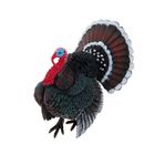 Фигурка «Индейка» - Фото 1