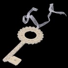 Сувенир «Ключ», подвесной, 0,5х8х18 см, с кристаллами - Фото 1