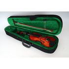 Скрипка 1/4 с футляром и смычком Carayа MV-004 - Фото 3