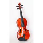Скрипка 1/2 с футляром и смычком Carayа MV-003 - Фото 2