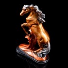 Сувенир "Конь на дыбах", бронза, 29 см, микс - Фото 5