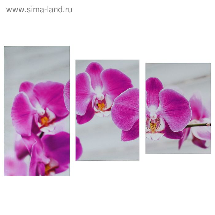 Картина модульная на подрамнике "Розовая орхидея" 99*65 см - Фото 1