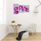 Картина модульная на подрамнике "Розовая орхидея" 99*65 см - Фото 2