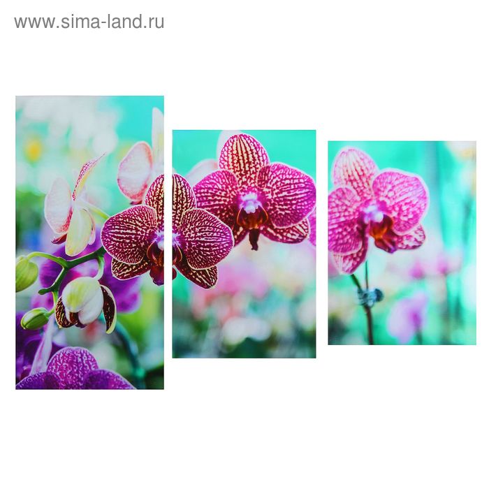 Картина модульная на подрамнике "Королевская орхидея" 99*65 см - Фото 1